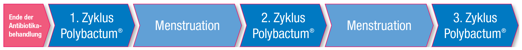 Image pour polybactum 1